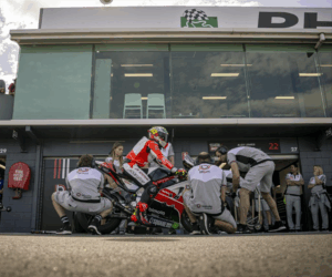 BbKRT 2025 Bermuda (male)